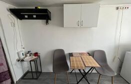 Garsoniera, 20mp, cat friendly, zona Centrala