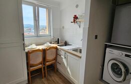 Garsoniera LUX, zona Horea