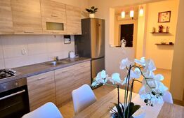 Apartament cu 2 camere proaspat revonavat, 80 mp, zona Auchan Iris