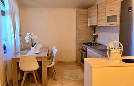 Apartament cu 2 camere proaspat revonavat, 80 mp, zona Auchan Iris