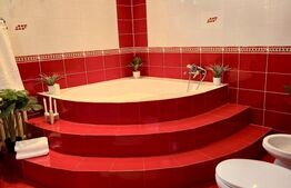 Apartament cu 2 camere proaspat revonavat, 80 mp, zona Auchan Iris