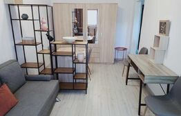Garsoniera moderna, total nou, 24 mp, zona strazii Cernei