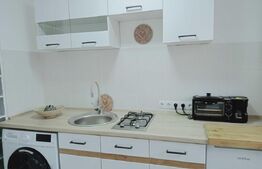 Garsoniera moderna, total nou, 24 mp, zona strazii Cernei