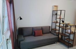 Garsoniera moderna, total nou, 24 mp, zona strazii Cernei