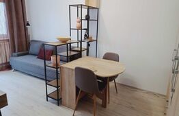 Garsoniera moderna, total nou, 24 mp, zona strazii Cernei