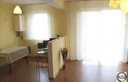 Vanzare 2 camere, 51 mp, balcon, zona Florilor! Partial mobilat!