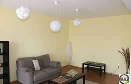 Vanzare 2 camere, 51 mp, balcon, zona Florilor! Partial mobilat!