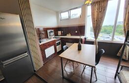 Garsoniera finisata si utilata, 32 mp, Dambovitei 