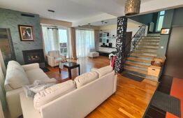 Vila individuala, langa Gradina Botanica