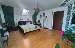 Vila individuala, langa Gradina Botanica