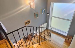 Vila individuala, langa Gradina Botanica