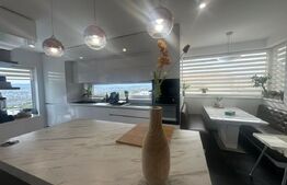 Casa individuala, 6 camere, 250mp utili, 600mp teren, zona Iris