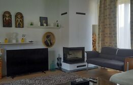 Spatiu 630 MP, activitati tip delivery, restaurant, showroom, clinica, Airbnb !