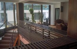 Spatiu 630 MP, activitati tip delivery, restaurant, showroom, clinica, Airbnb !