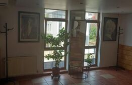 Spatiu 630 MP, activitati tip delivery, restaurant, showroom, clinica, Airbnb !