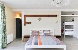 Apartament la casa, 2 camere, modern, 110 mp, zona strazii Bucuresti