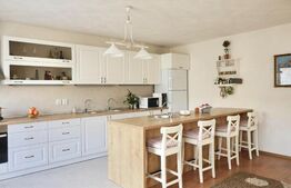 Apartament la casa, 2 camere, modern, 110 mp, zona strazii Bucuresti