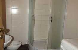 1 camera, 36 mp, modern, renovat, zona USAMV