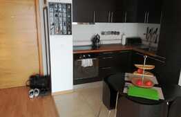 2 camere, 42 mp, imobil nou, mobilat modern, garaj, complex Viva City, zona Iulius Mall