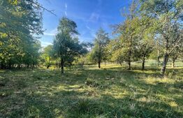 Casa de vanzare, 70 mp , teren de 3000 mp , Cacova Ierii 