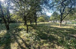 Casa de vanzare, 70 mp , teren de 3000 mp , Cacova Ierii 