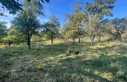 Casa de vanzare, 70 mp , teren de 3000 mp , Cacova Ierii 