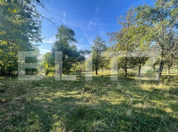 Casa de vânzare 3 camere Iara - 158277CV | BLITZ Cluj-Napoca | Poza5