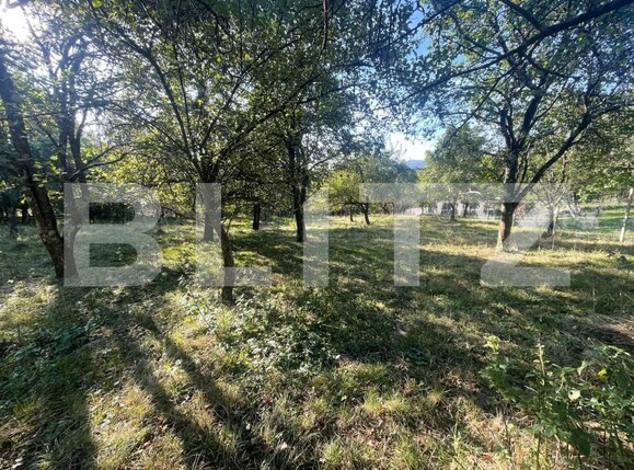 Casa de vânzare 3 camere Iara - 158277CV | BLITZ Cluj-Napoca | Poza7