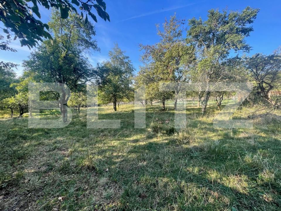 Casa de vânzare 3 camere Iara - 158277CV | BLITZ Cluj-Napoca | Poza6