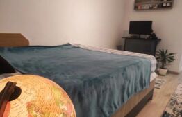 Apartament 1 camera, Zona Iulius Mall