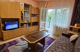 Apartament cu 2 camere si 2 balcoane, 50 mp, etaj intermediar, zona Big