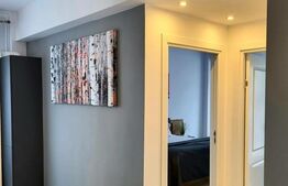 Comision 0%! Apartament 3 camere lux, 67 mp, zona strazii Teilor