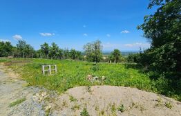 Teren intravilan 847mp,cu autorizatie de constructie,in sat Gheorgheni