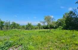 Teren intravilan 847mp,cu autorizatie de constructie,in sat Gheorgheni