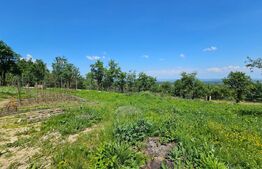 Teren intravilan 847mp,cu autorizatie de constructie,in sat Gheorgheni