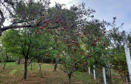 Casă individuală, 6 camere, Săcele, priveliste superbă