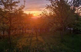 Casă individuală, 6 camere, Săcele, priveliste superbă