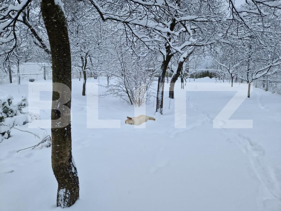 Casa de vânzare 6 camere Sacele - 158449CV | BLITZ Brașov | Poza19