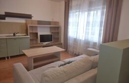 Apartament 1 camera, 40mp, zona B-dul Muncii, posibilitate parcare