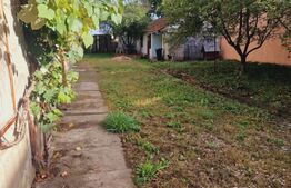 Casa săsească,Hălchiu 