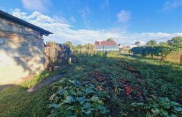 Casa săsească,Hălchiu 