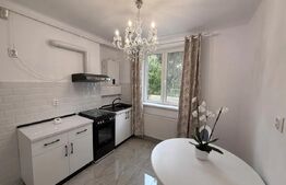 Apartament de lux, 50 mp., 2 camere