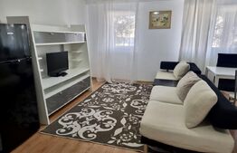 Apartament 1 camera, 40mp, zona B-dul Muncii, posibilitate parcare