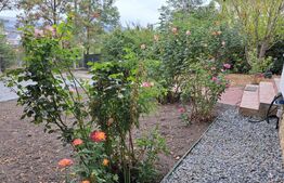 Casa individuala, cu un design unic, Dezmir