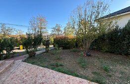 Casa individuala, cu un design unic, Dezmir