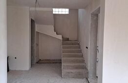 Casa individuala, cu un design unic, Dezmir