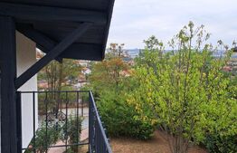 Casa individuala, cu un design unic, Dezmir