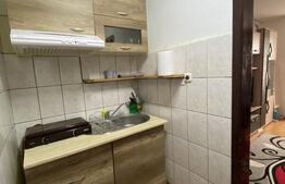 Garsoniera, 22mp, AC, zona Iris