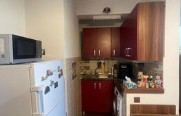 Garsoniera, zona Dorobantilor