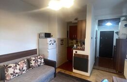 Garsoniera, zona Dorobantilor